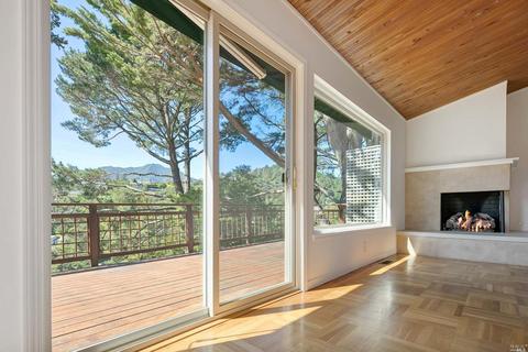 157 Marlin Ave, Mill Valley, CA 94941 photo 28