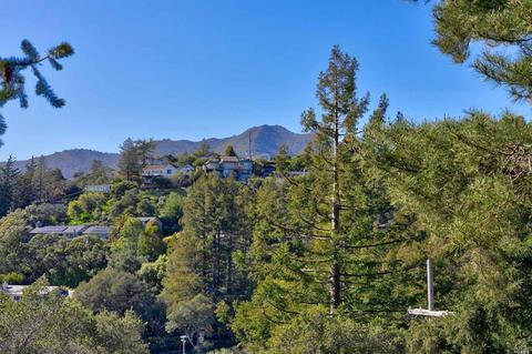 157 Marlin Ave, Mill Valley, CA 94941 photo 66