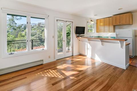 157 Marlin Ave, Mill Valley, CA 94941 photo 54