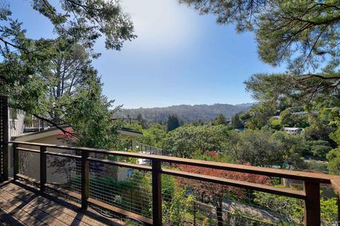 157 Marlin Ave, Mill Valley, CA 94941 photo 32