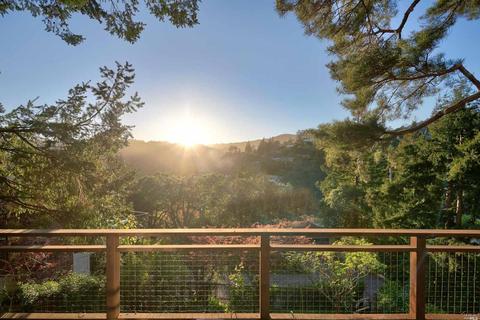 157 Marlin Ave, Mill Valley, CA 94941 photo 68