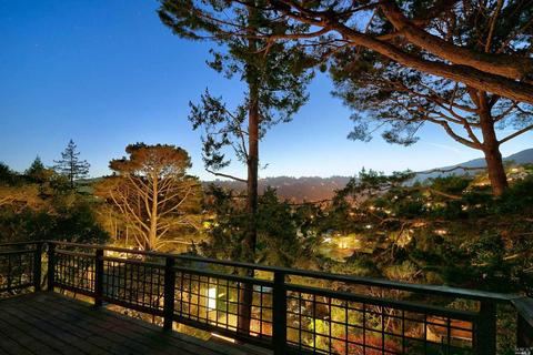 157 Marlin Ave, Mill Valley, CA 94941 photo 70