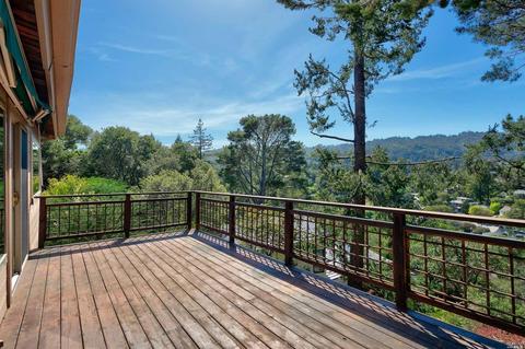 157 Marlin Ave, Mill Valley, CA 94941 photo 33