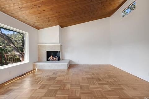 157 Marlin Ave, Mill Valley, CA 94941 photo 26