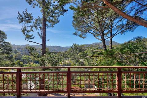 157 Marlin Ave, Mill Valley, CA 94941 photo 31