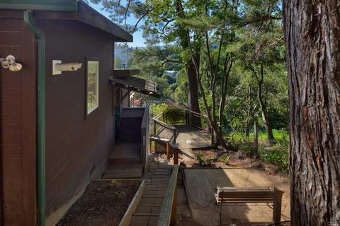 157 Marlin Ave, Mill Valley, CA 94941 photo 48
