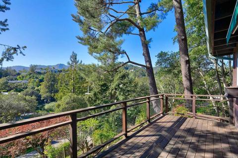 157 Marlin Ave, Mill Valley, CA 94941 photo 35