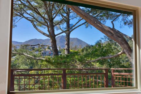 157 Marlin Ave, Mill Valley, CA 94941 photo 30