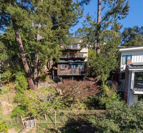 157 Marlin Ave, Mill Valley, CA 94941 photo 65