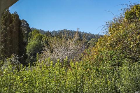304 Poplar St, Mill Valley, CA 94941 photo 37
