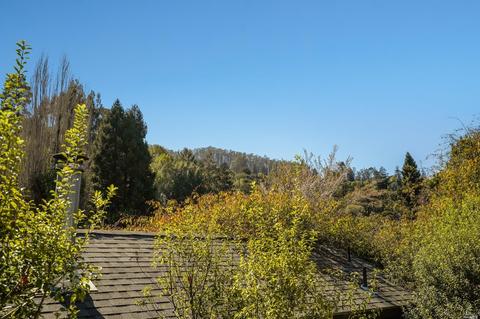 304 Poplar St, Mill Valley, CA 94941 photo 47