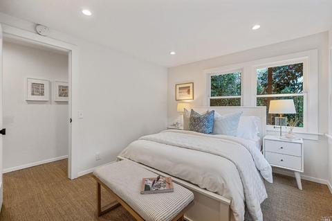 38 Sycamore Ave, Mill Valley, CA 94941 photo 48