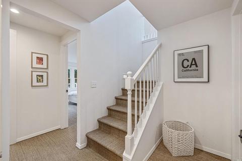38 Sycamore Ave, Mill Valley, CA 94941 photo 41
