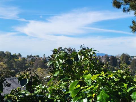 113 Jordan St, Vallejo, CA 94591 photo 28
