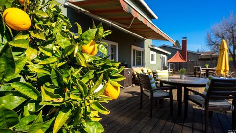 1776 Pine Ave, Petaluma, CA 94954 photo 39