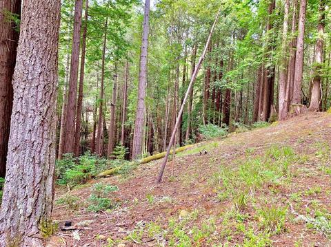 22107 Ruoff Rd, Jenner, CA 95450 photo 8