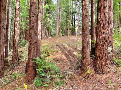 22107 Ruoff Rd, Jenner, CA 95450 photo 4