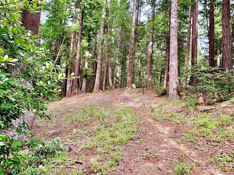 22107 Ruoff Rd, Jenner, CA 95450 photo 1