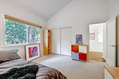 153 W Blithedale Ave, Mill Valley, CA 94941 photo 26