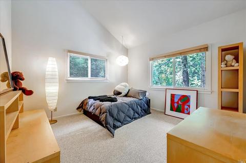 153 W Blithedale Ave, Mill Valley, CA 94941 photo 25