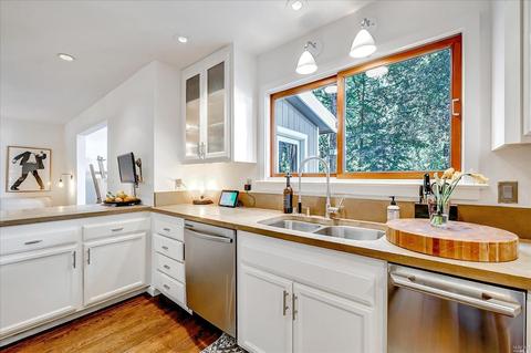 153 W Blithedale Ave, Mill Valley, CA 94941 photo 17