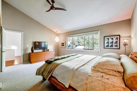153 W Blithedale Ave, Mill Valley, CA 94941 photo 23