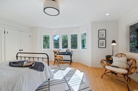 209 Cascade Dr, Mill Valley, CA 94941 photo 57