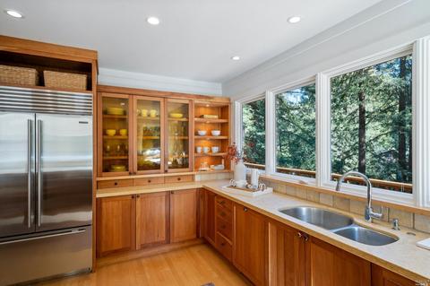 209 Cascade Dr, Mill Valley, CA 94941 photo 29