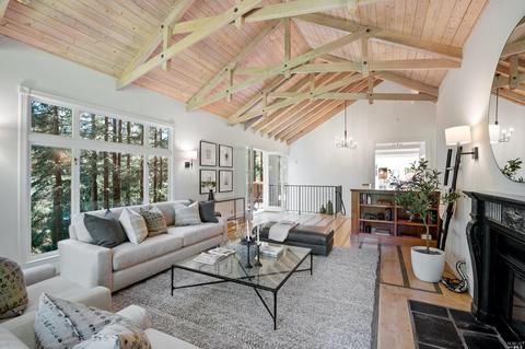 209 Cascade Dr, Mill Valley, CA 94941 photo 39