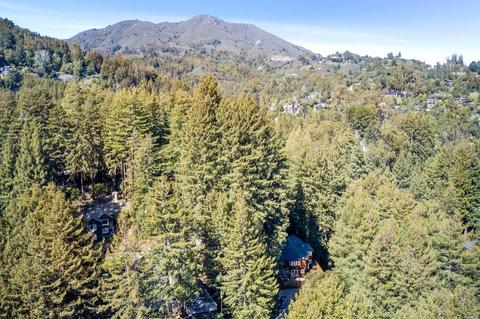 209 Cascade Dr, Mill Valley, CA 94941 photo 83