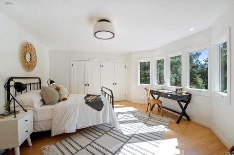 209 Cascade Dr, Mill Valley, CA 94941 photo 59