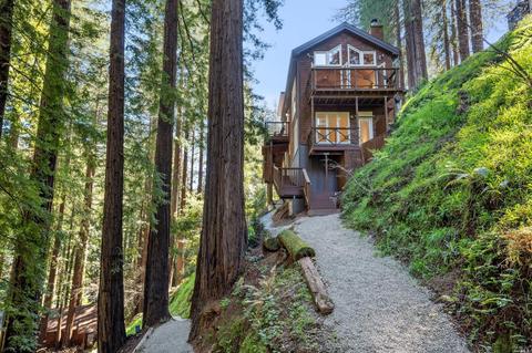 209 Cascade Dr, Mill Valley, CA 94941 photo 78