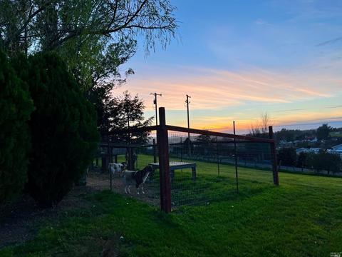 155 Ely Rd N, Petaluma, CA 94954 photo 67