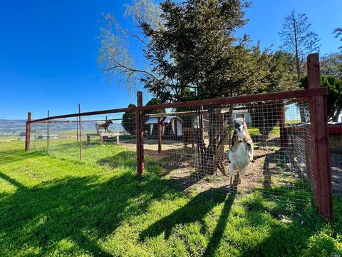 155 Ely Rd N, Petaluma, CA 94954 photo 59