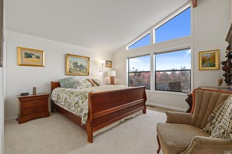 925 Dowitcher Ct, Bodega Bay, CA 94923 photo 26
