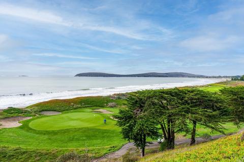 925 Dowitcher Ct, Bodega Bay, CA 94923 photo 49