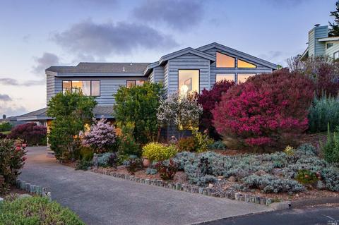 925 Dowitcher Ct, Bodega Bay, CA 94923 photo 1