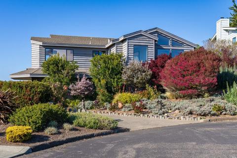 925 Dowitcher Ct, Bodega Bay, CA 94923 photo 53
