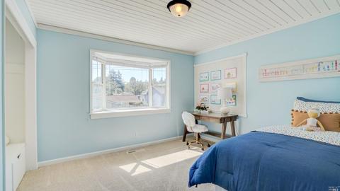 6 Cader Ct, Petaluma, CA 94952 photo 23