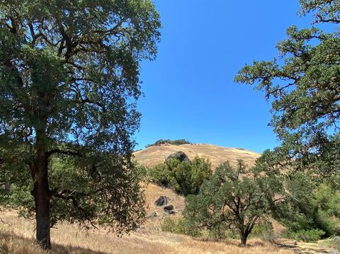 7400 E Side Potter Valley Rd, Ukiah, CA 95482 photo 30