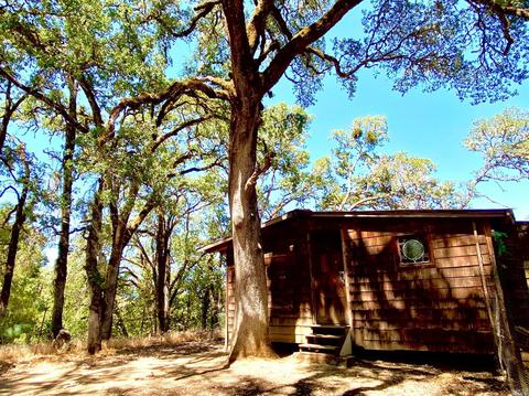 7400 E Side Potter Valley Rd, Ukiah, CA 95482 photo 23