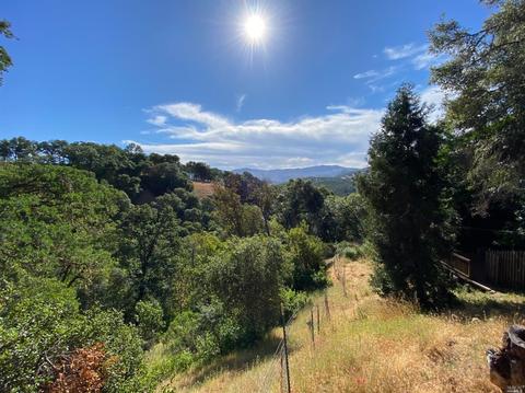 7400 E Side Potter Valley Rd, Ukiah, CA 95482 photo 29