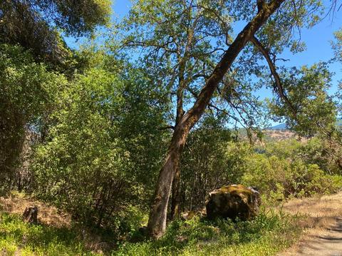 7400 E Side Potter Valley Rd, Ukiah, CA 95482 photo 28