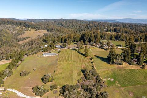 17121 Taylor Ln, Occidental, CA 95465 photo 9