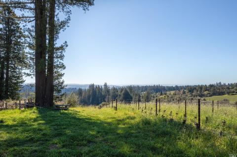 17121 Taylor Ln, Occidental, CA 95465 photo 13