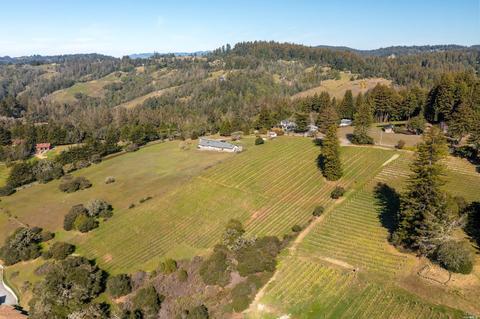 17121 Taylor Ln, Occidental, CA 95465 photo 10