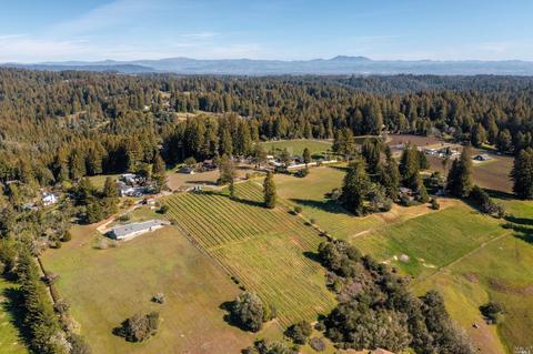 17121 Taylor Ln, Occidental, CA 95465 photo 8
