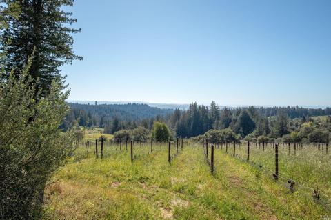 17121 Taylor Ln, Occidental, CA 95465 photo 14
