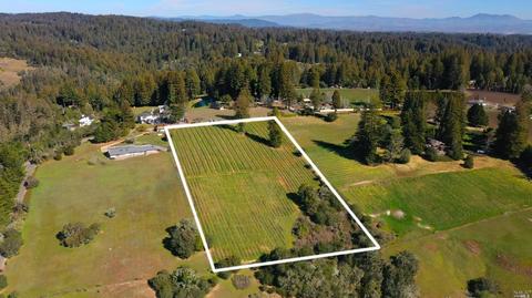 17121 Taylor Ln, Occidental, CA 95465 photo 3
