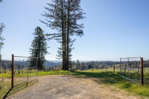 17121 Taylor Ln, Occidental, CA 95465 photo 15
